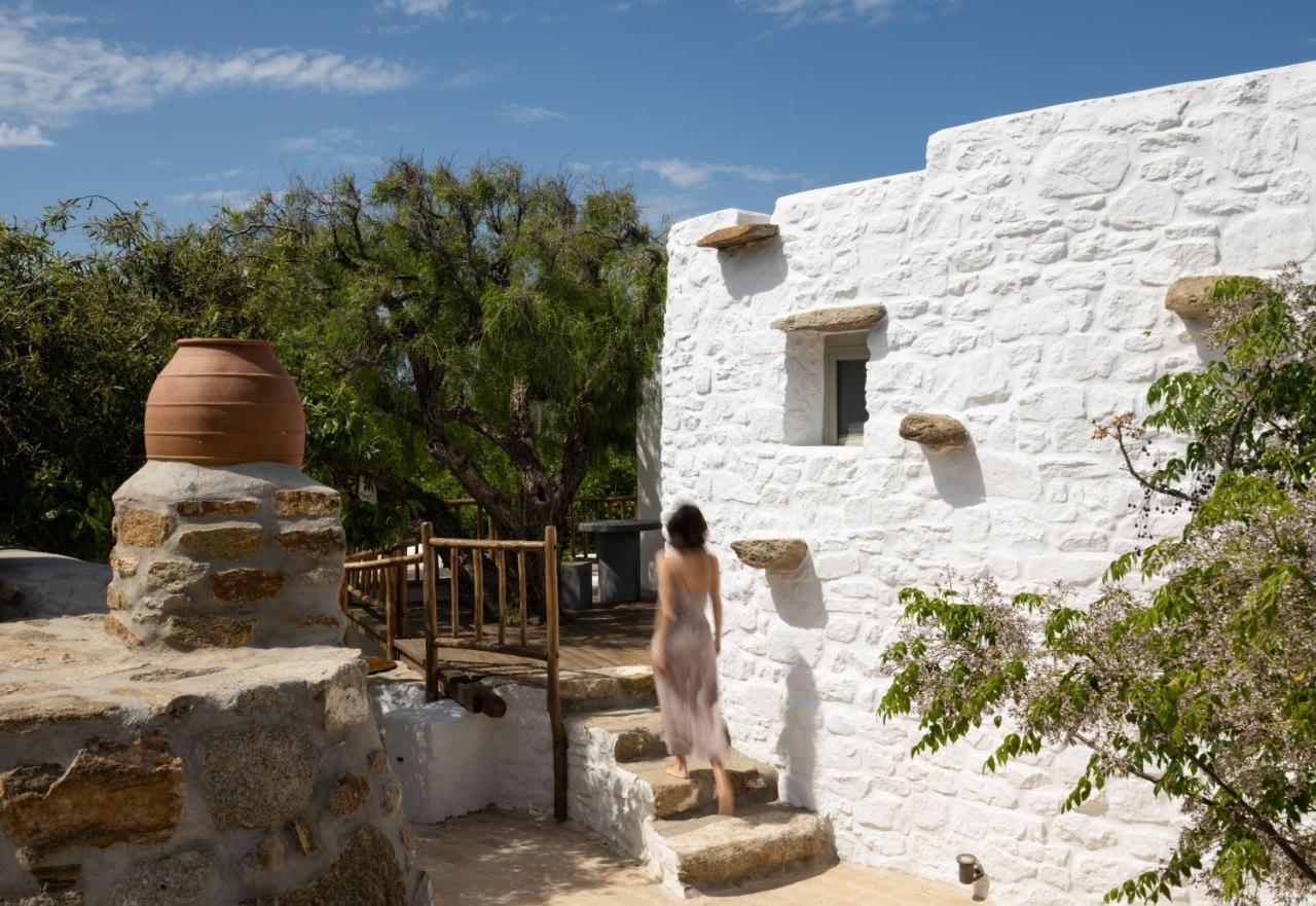 Bed and Breakfast Ikies Of Mykonos Mykonos Town Exteriér fotografie