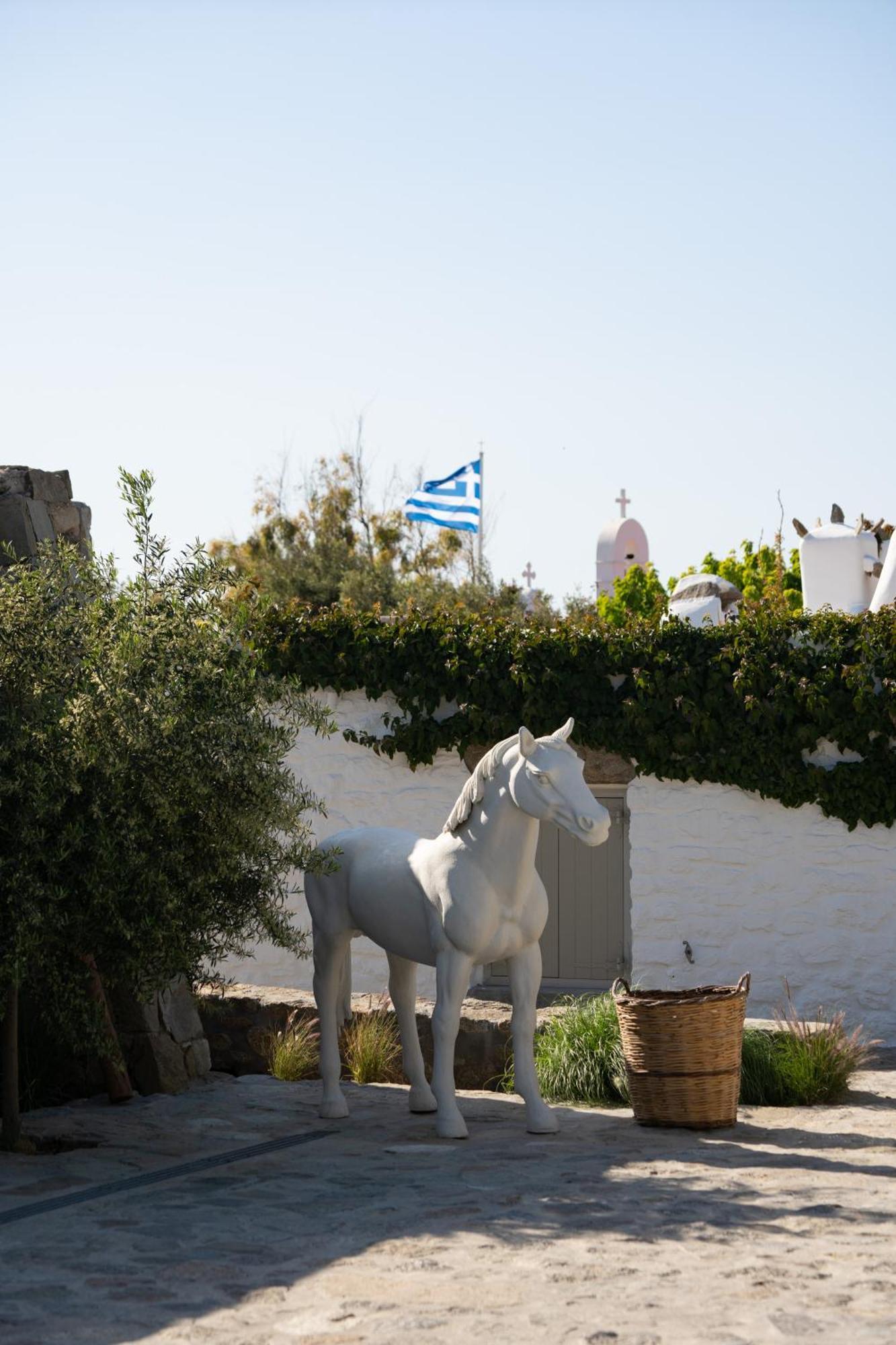 Bed and Breakfast Ikies Of Mykonos Mykonos Town Exteriér fotografie